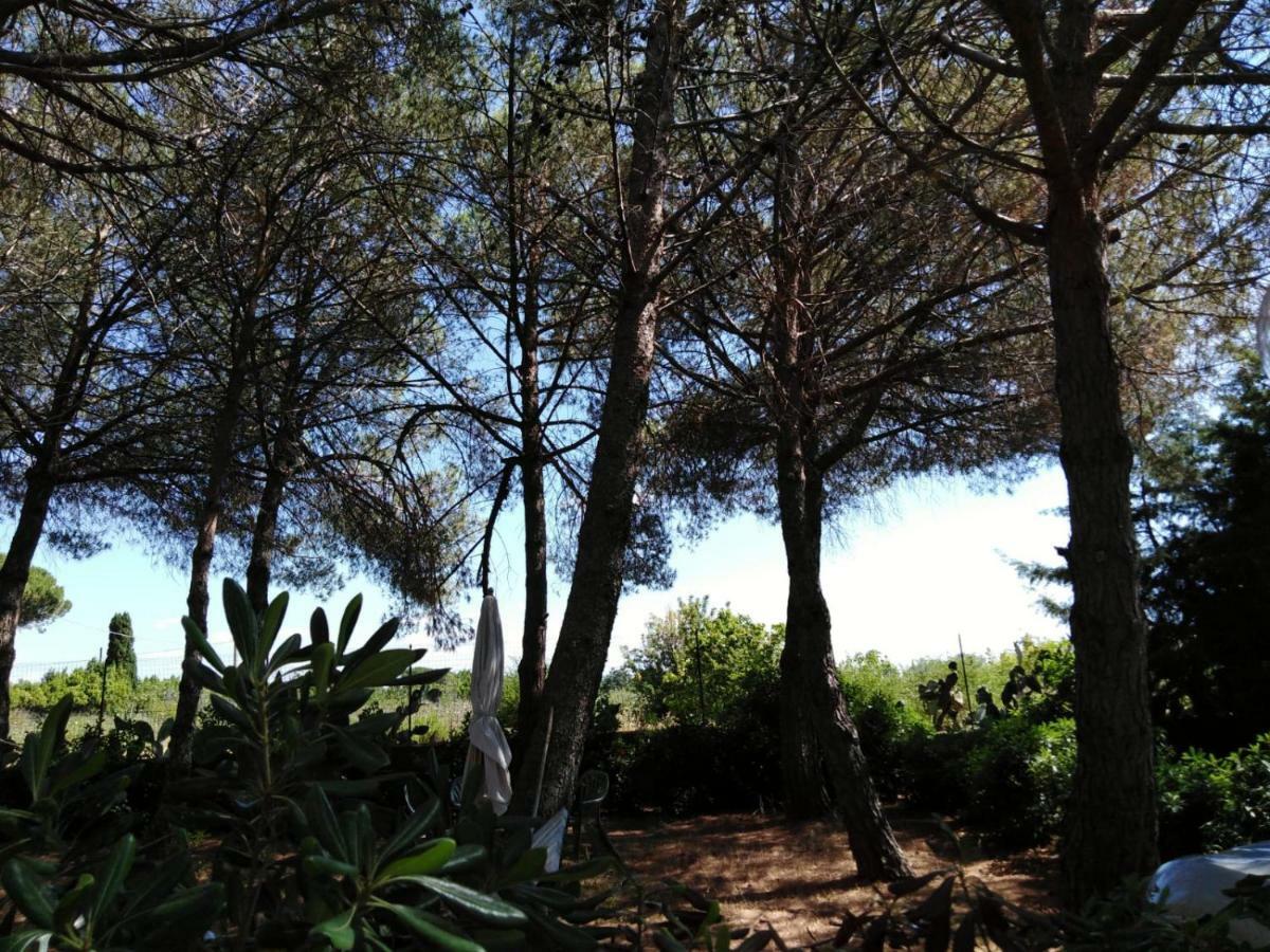 Campo Alle More Cecina  Exterior photo